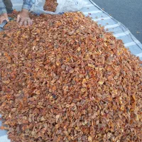 برگه زردالو