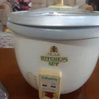 پلوپز برقی