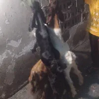 نیاز مالی