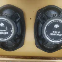 باند خربزه ای کونکورد اصلی