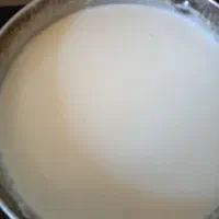 شیر بز آلپاین