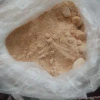پودر سیر