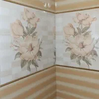 استاکاشی کار