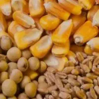 ثبت خرید بازارگاه و خرید سهمیه مازاد