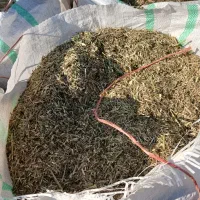 یونجه خورد شده