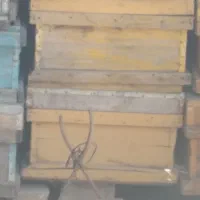 فروش کندو عسل