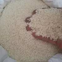 برنج عنبربو