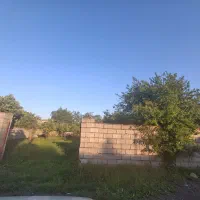 زمین ۴۳۲متر کازینو