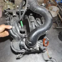 منیفول p45