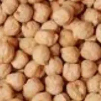 نخود درشت ابگوشتی