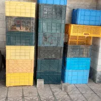 سبد