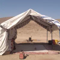 الاغ گله|حیوانات مزرعه|فردوس (کرمان), |دیوار