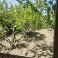 باغ ۳۰۰ متر واقعه در مهراباد زرین شهر