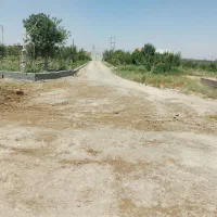 اجاره-گاوداری-دامداری