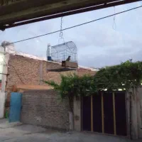 سهره بهاره چندتا