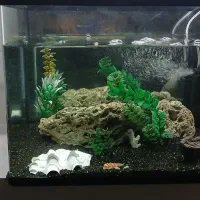 آکواریوم معاوضه با سیستم صوتی