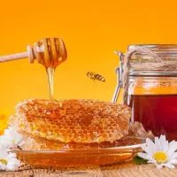 عسل کوهی درمانی