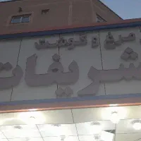 نیروی فروشنده خانم