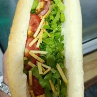 به یک نفرخانوم جهت کار در فست فود