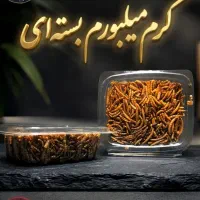 کرم میلورم ( فروشگاه ایران پرنده )
