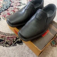 کفش چرم پاما با گارانتی