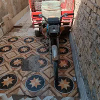 اهواز..گلدشت خیابان ارغوان ششم