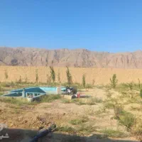 زمین-باغی