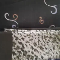 رو سری|لباس|شیراز, اصلاح‌نژاد|دیوار