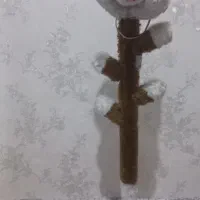 چوب لباسی کودک