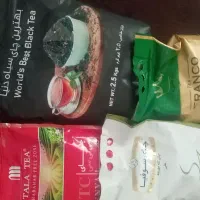 چای کوهی وکله مورچه