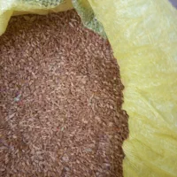 گندم|خوردنی و آشامیدنی|کارزان, |دیوار