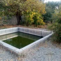 باغ-میوه