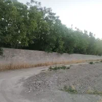 باغ-شهری
