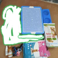 وسایل سگ نو