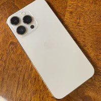 13pro
