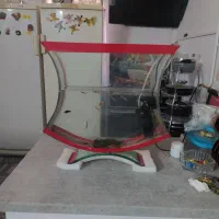 آکواریم شیشه خم