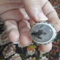 انگشتر|کلکسیون اشیاء عتیقه|همدان, |دیوار
