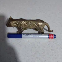 ببر جنس برنج