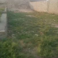 زمین بهشت رضا