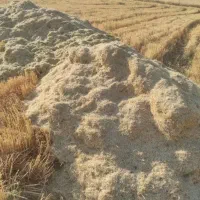 جمع آوری کاه