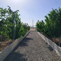 خونه باغ