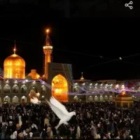 مشهد مقدس قیمت مناسب ارزان جای شیک