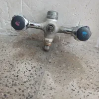 شیردوقلو