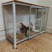 قفس فلزی