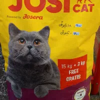 غذای خشک جوسی کت عقیم شده
