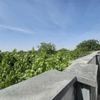 ویلا باغچه باغ.زمین سنددار/انشعابات/استخر دار/