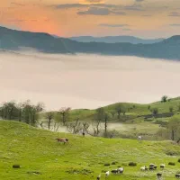 تور تعطیلات مرداد شمال