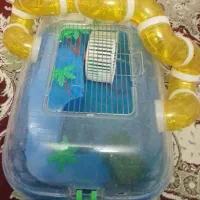 قفس همستر