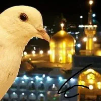 تور مشهد ویژه خانواده‌ها با پرداخت اقساطی