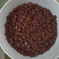 آلوچه خشک امسال